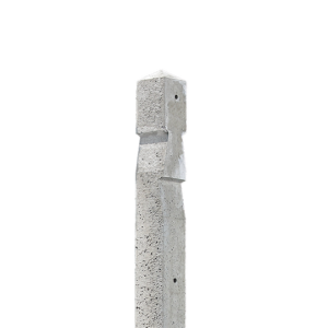 Poteau Spécial 10x10 H175