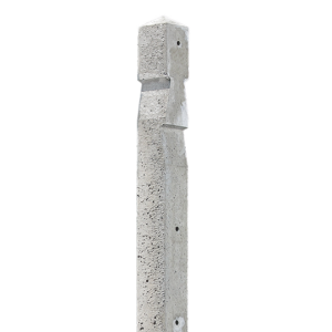 Poteau Spécial 10x10 H250